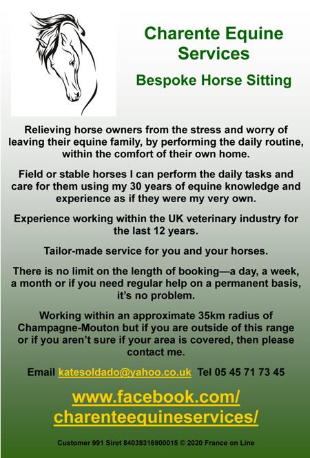 Charente Equine Services,bespoke horse sitting,horse care,English,field horses,stabled horses,veterinary care,Champagne Mouton,Charente,department 16